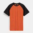 SLEEVE STRIPED T-SHIRT